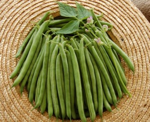Meatless Monday String Beans