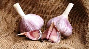 Meatless Monday Garlic