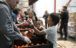 Child volunteer distributing tomatoes- New year's resolutions