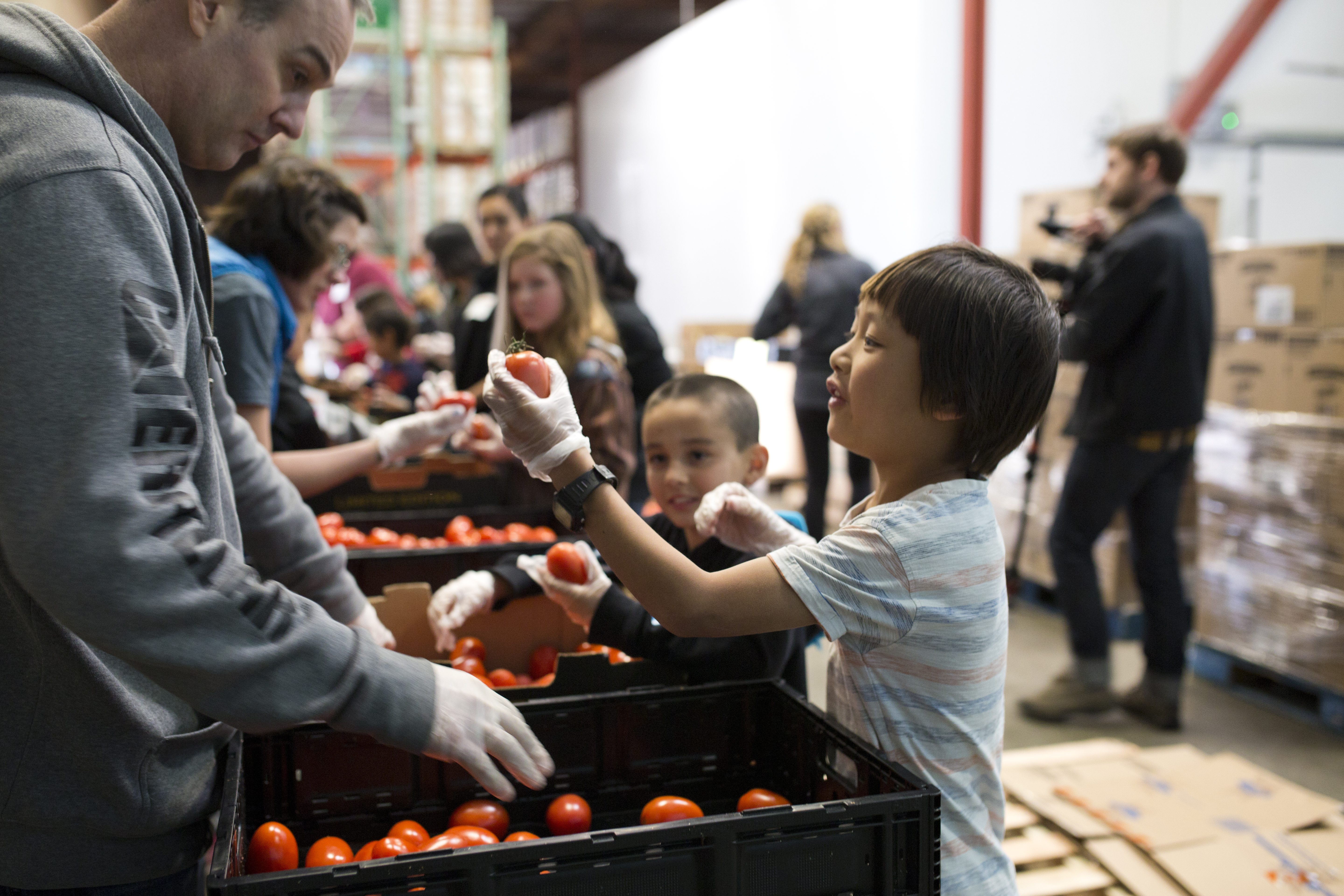 Child volunteer distributing tomatoes