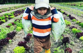 Photo of Nikki's son carrying freshly picked greens out of a Chittenden County farm.
