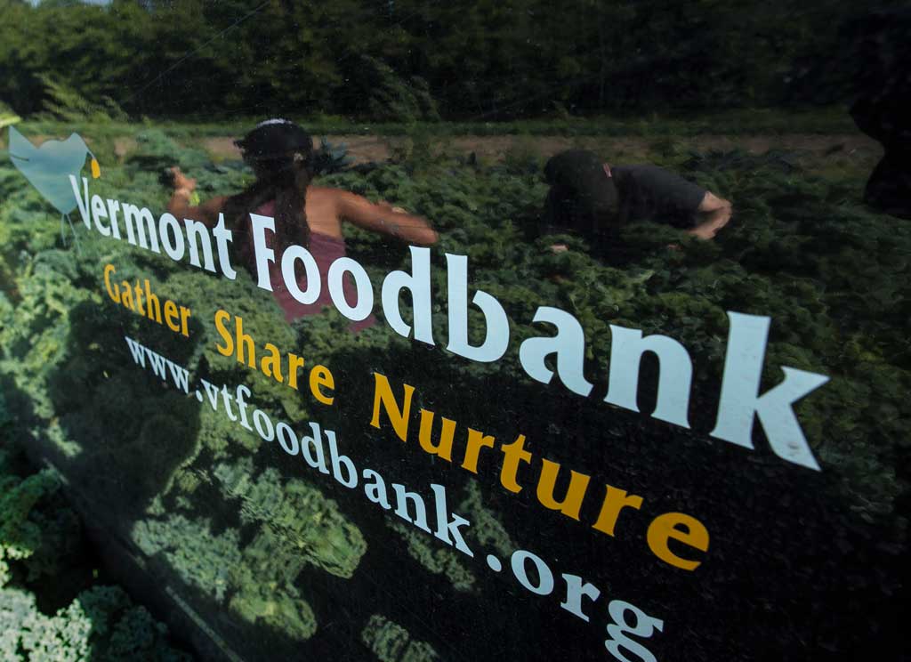 20180724GLEAN6 Increases to SNAP benefits come along with the fall weather.