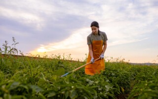 PHoto of a farmworker in a field.
