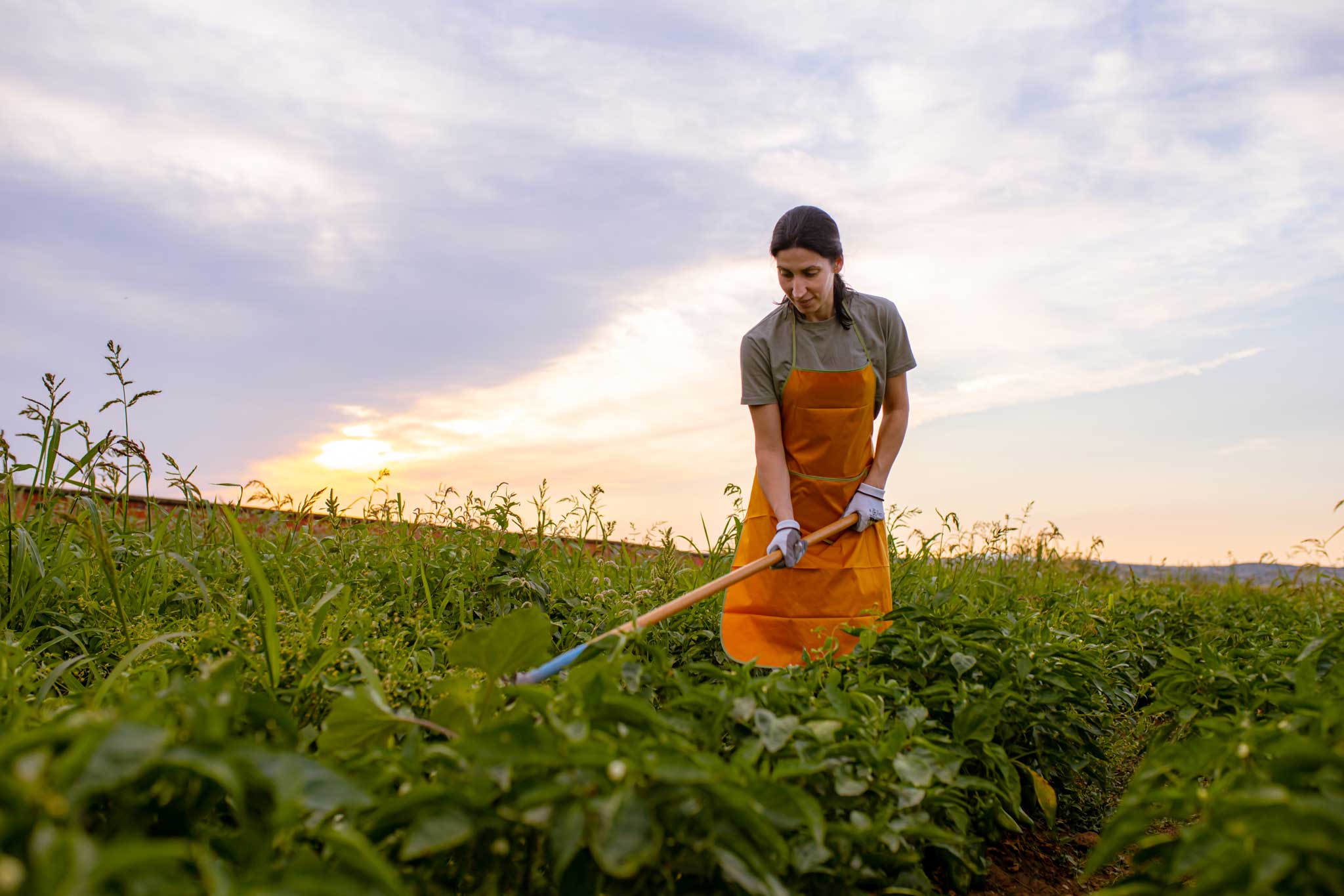 Photo of a farmworker in a field.