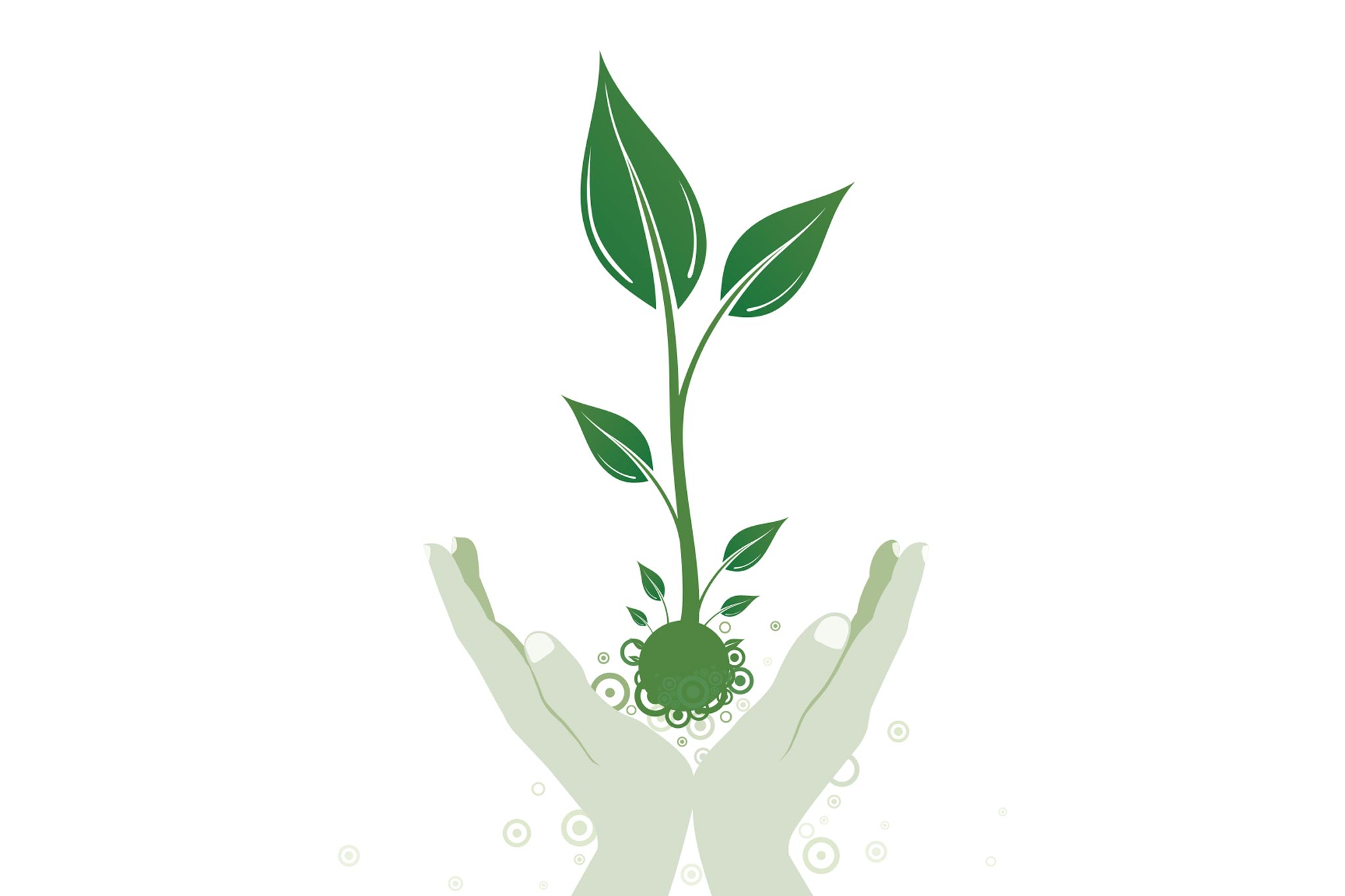 Illustration of hands holding a plant