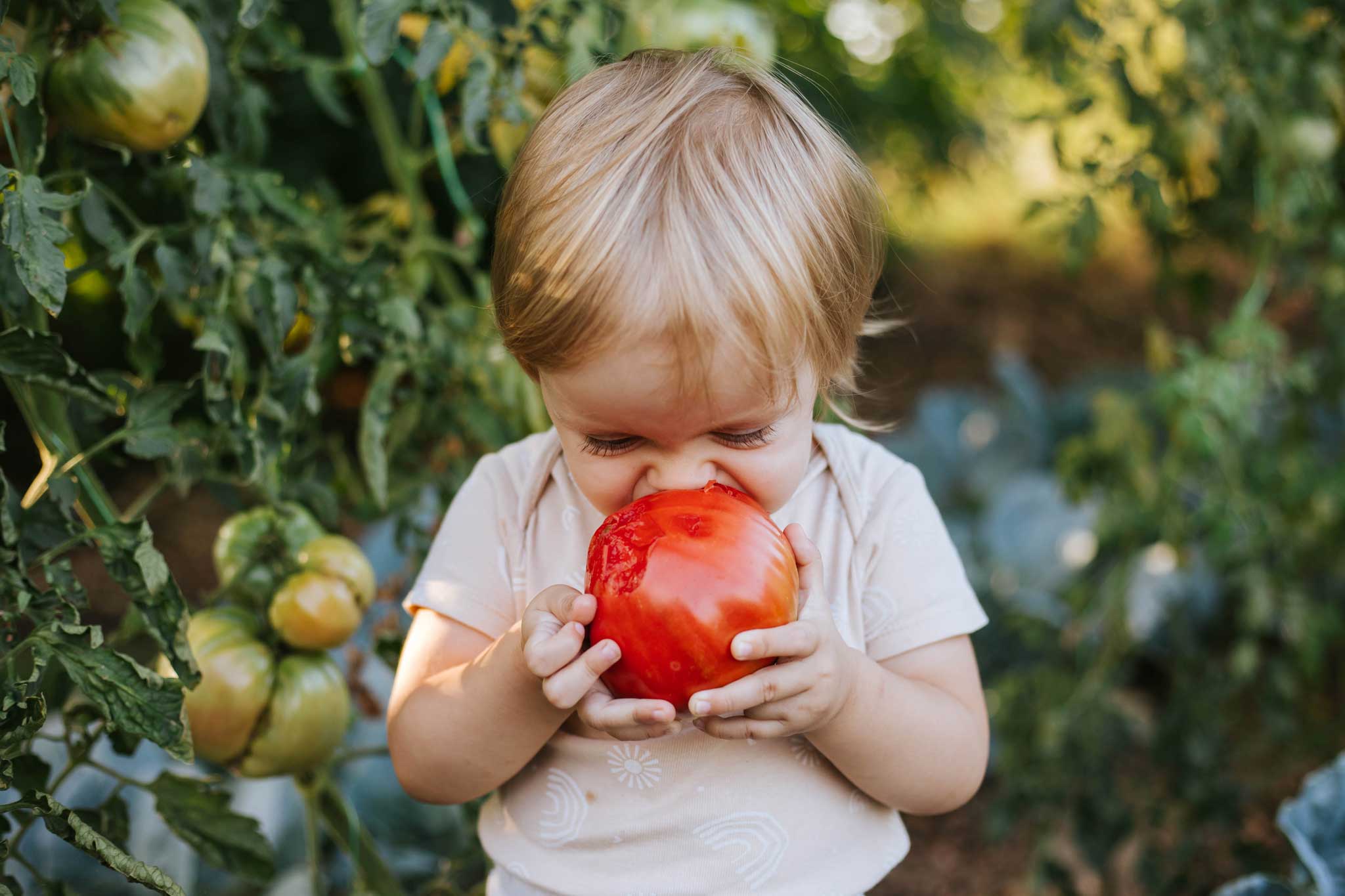 With 3SquaresVT you can eat local, fresh foods and save money at farmers markets and shops all throughout Vermont.