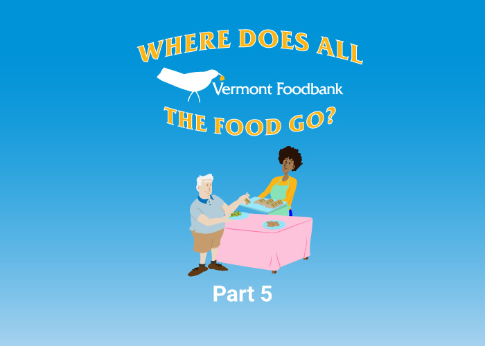 Where Does All the Food Go? title illustration.