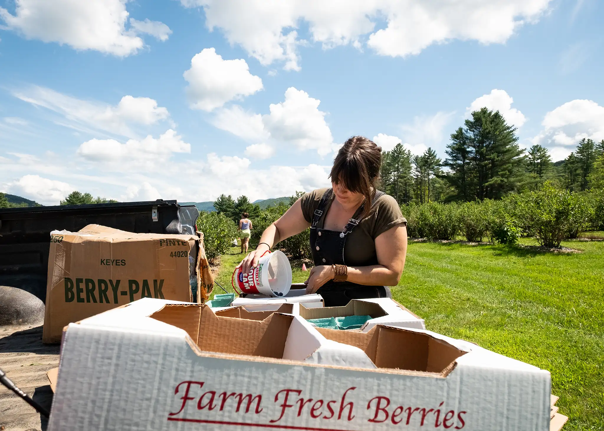 Our summer edition of Kernels has been published, full of stories about our work and the people working towards a food secure Vermont.